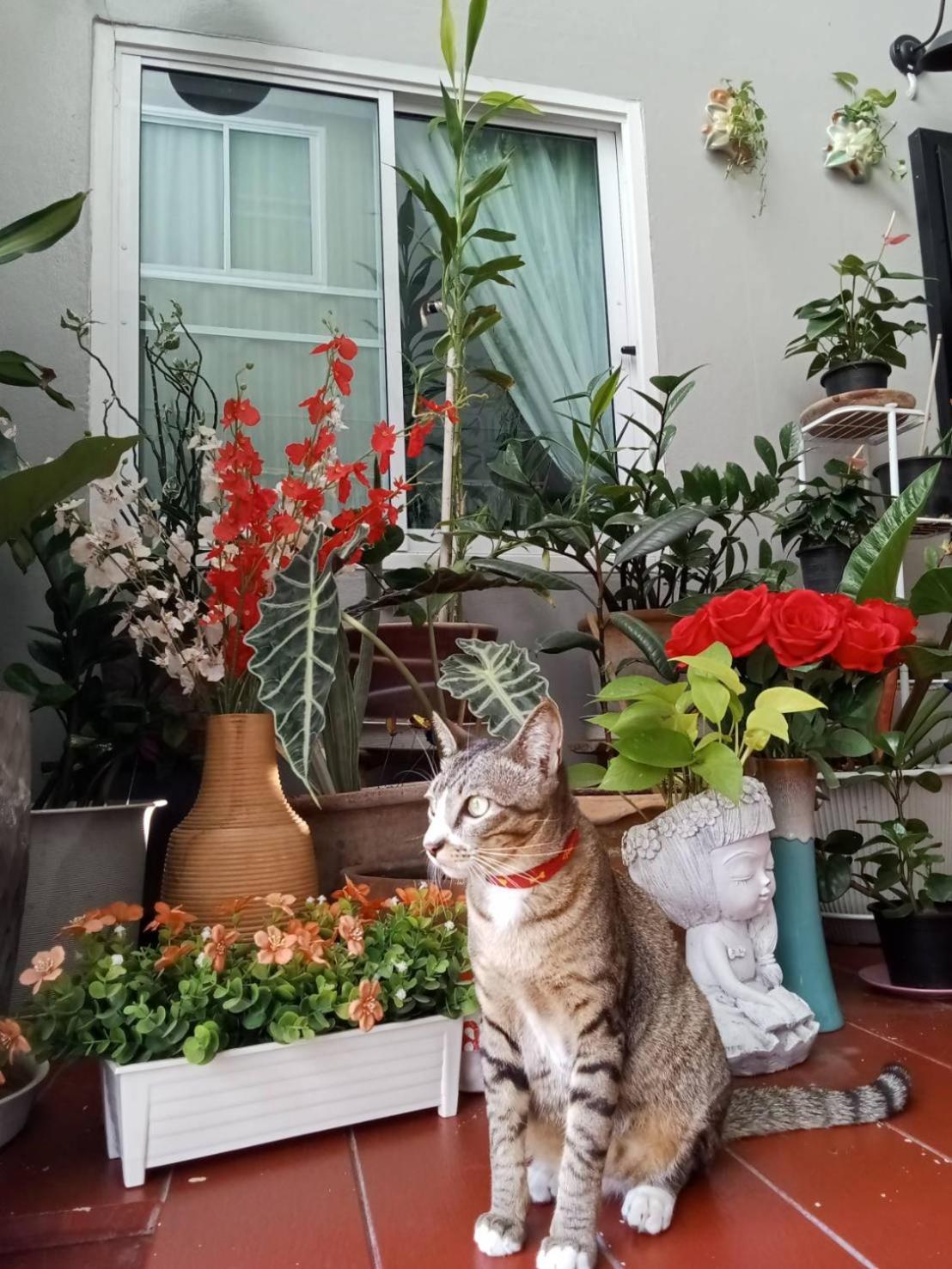 Vlodge&Vegetarian Vegan Hotel Chiang Mai Eksteriør bilde